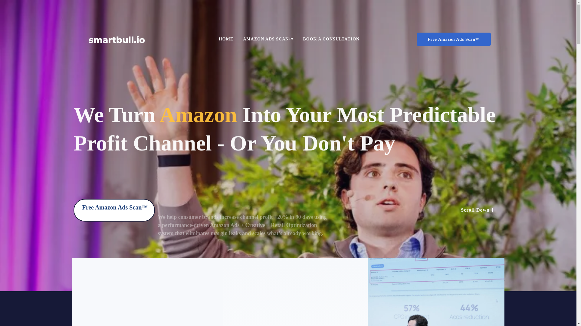 website screenshot of https://clickamzsmartbull.com/
