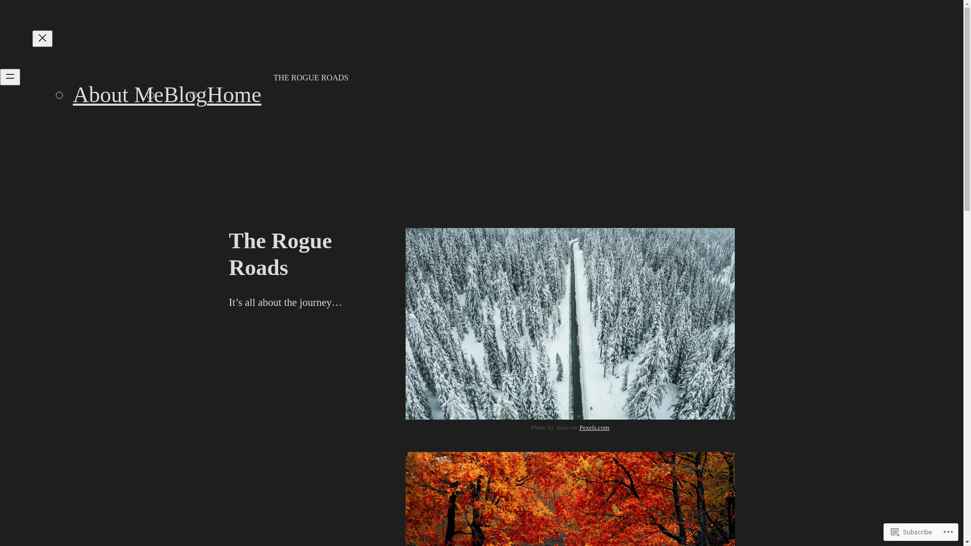 website screenshot of https://theroguechronicles.com/