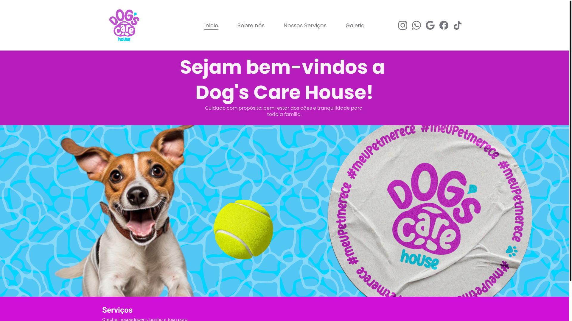 website screenshot of https://dogscarehouse.com.br/