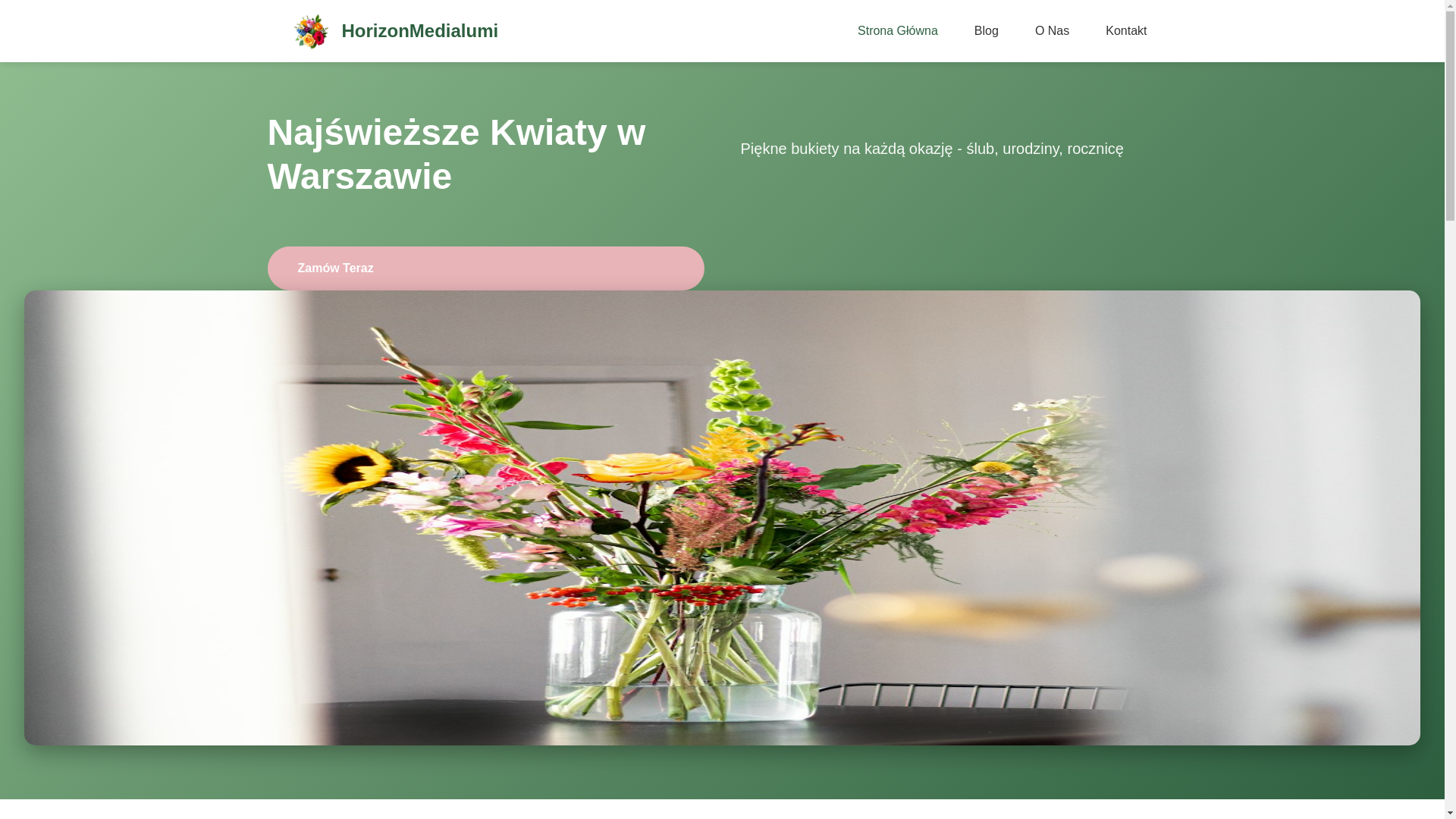 website screenshot of https://horizonmedialumi.com/