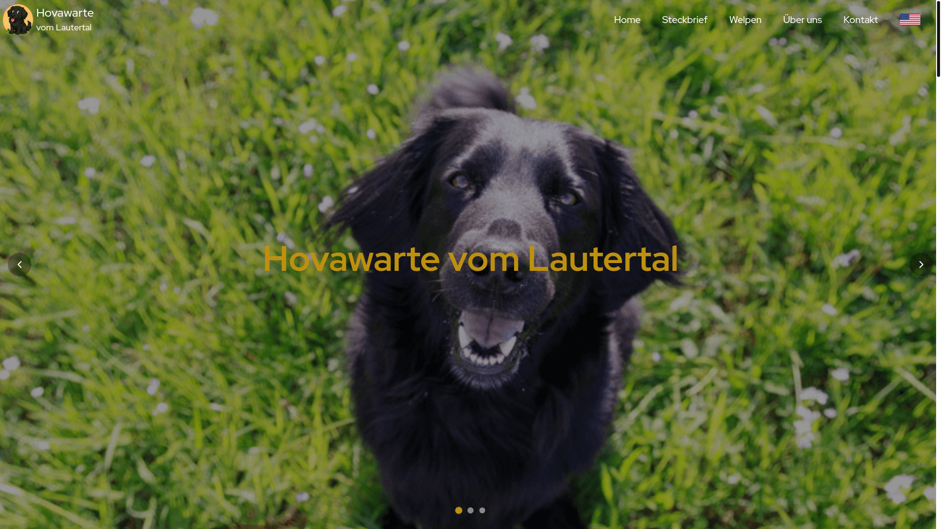 website screenshot of https://hovawarte-lautertal.de/