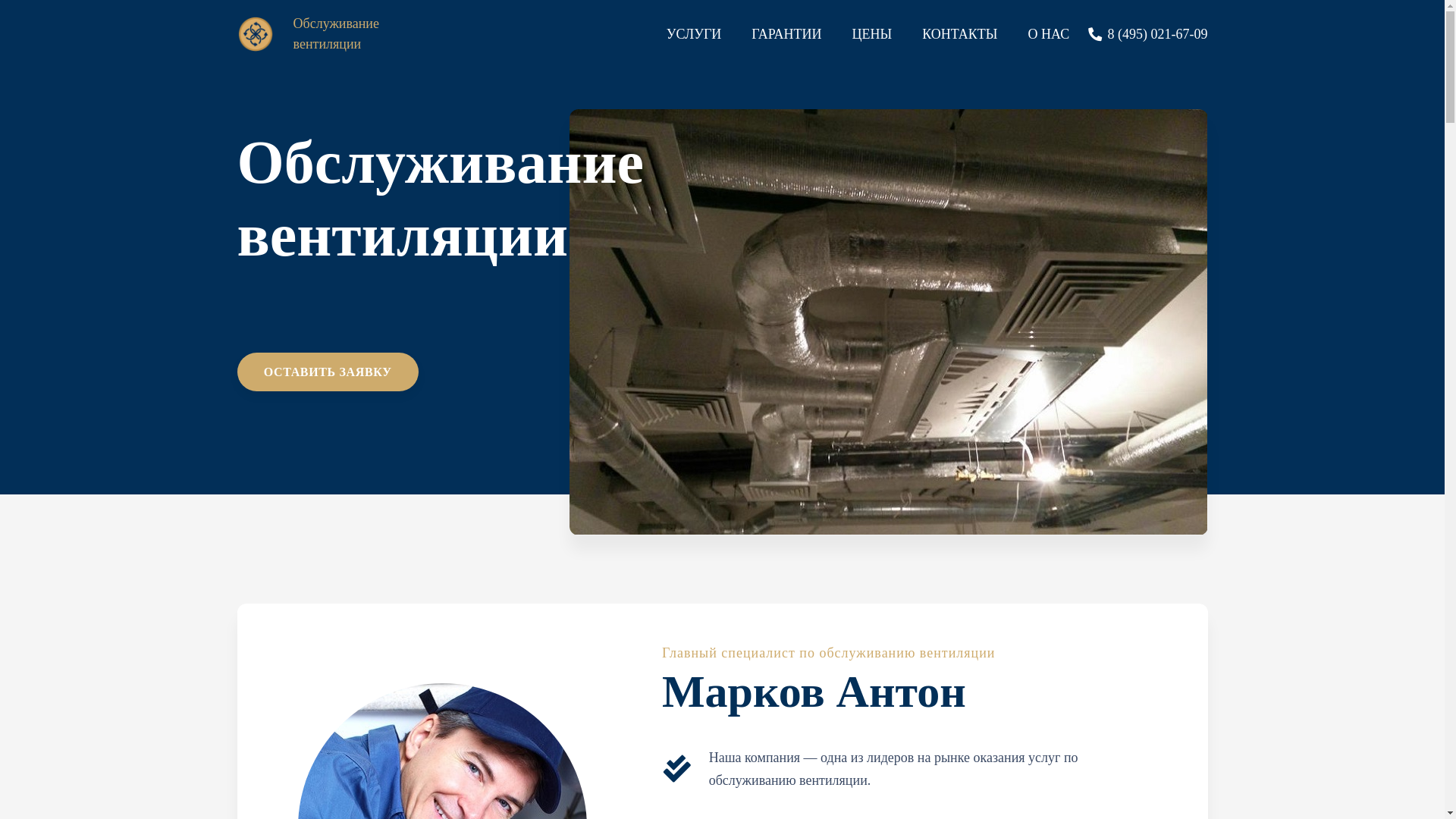 website screenshot of https://chistota-vozduha.store/