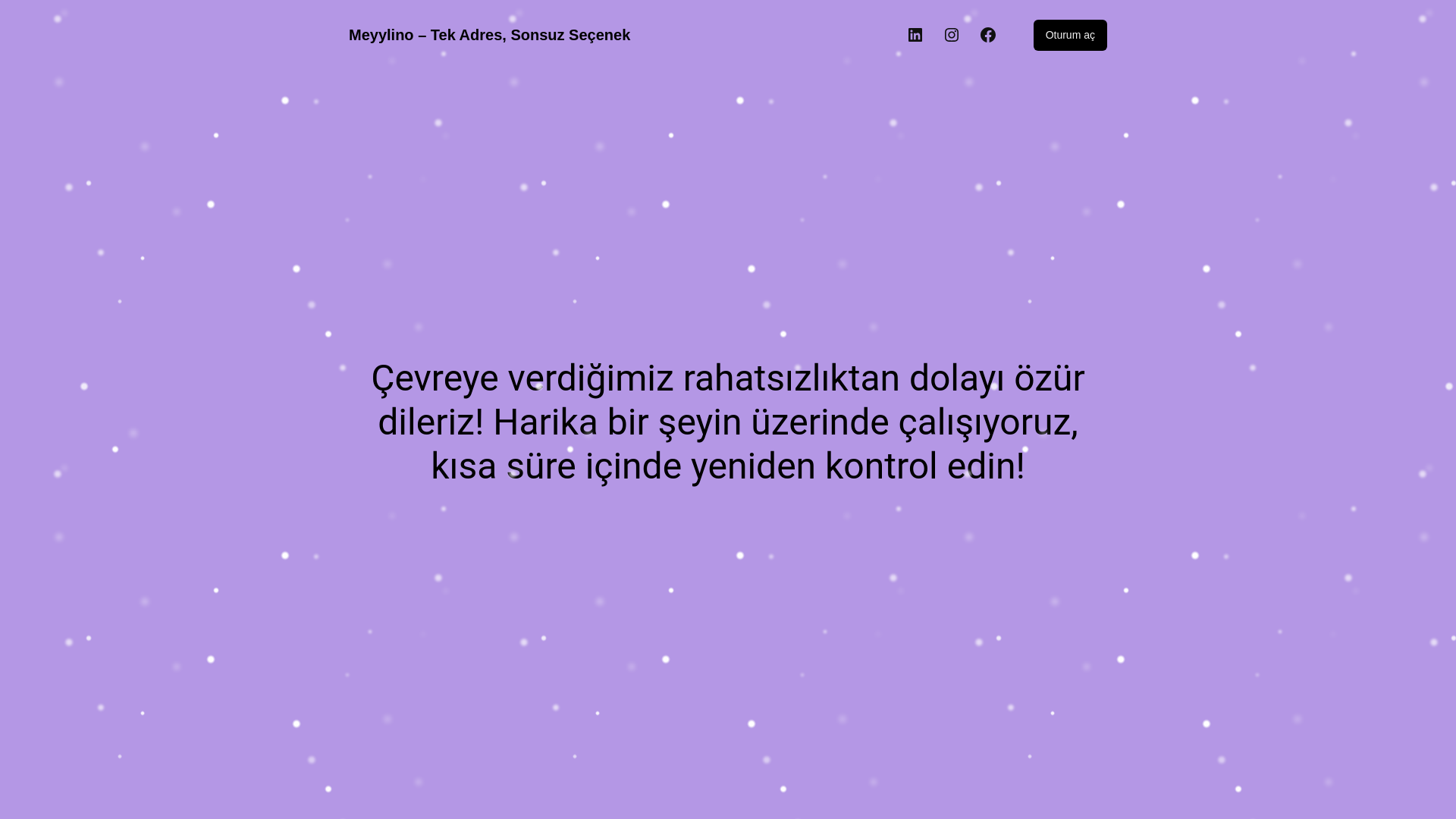 website screenshot of https://meyylino.com/