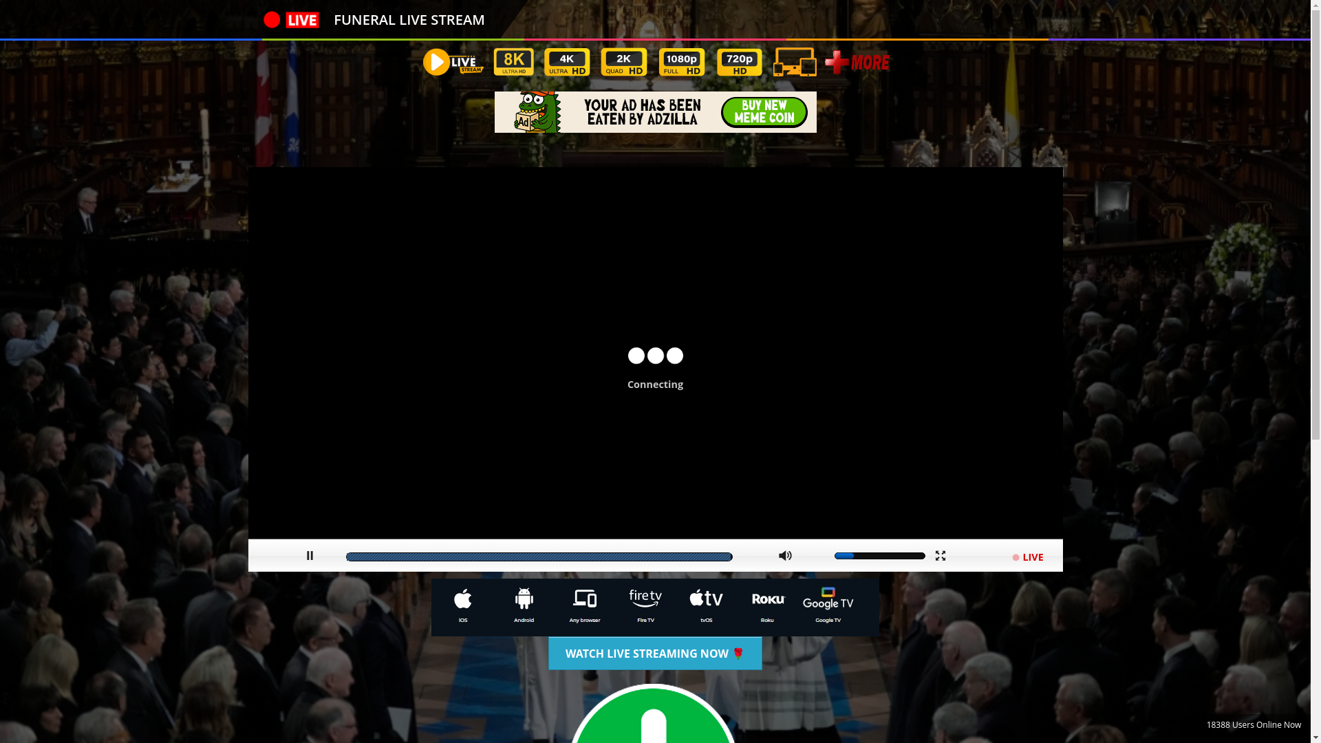 website screenshot of https://www.meta-five.ngiktv.com/obituary.php