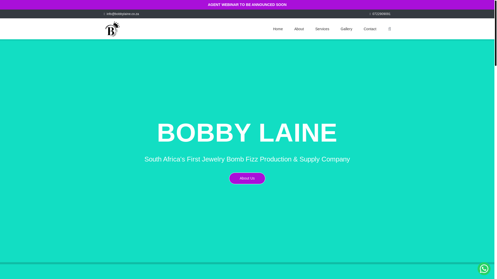 website screenshot of https://bobbylaine.co.za/