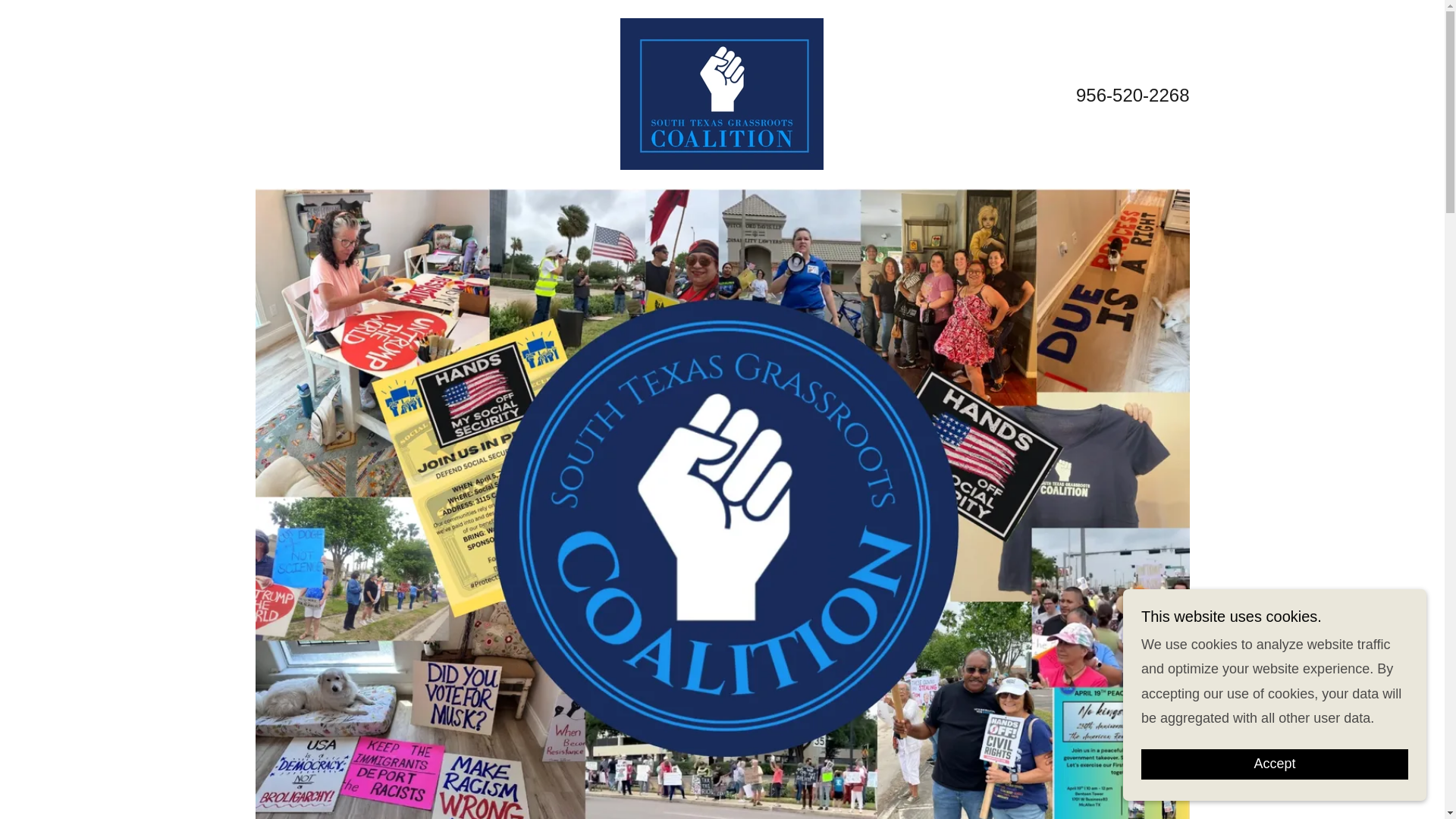 website screenshot of https://southtexasgrassrootscoalition.org/