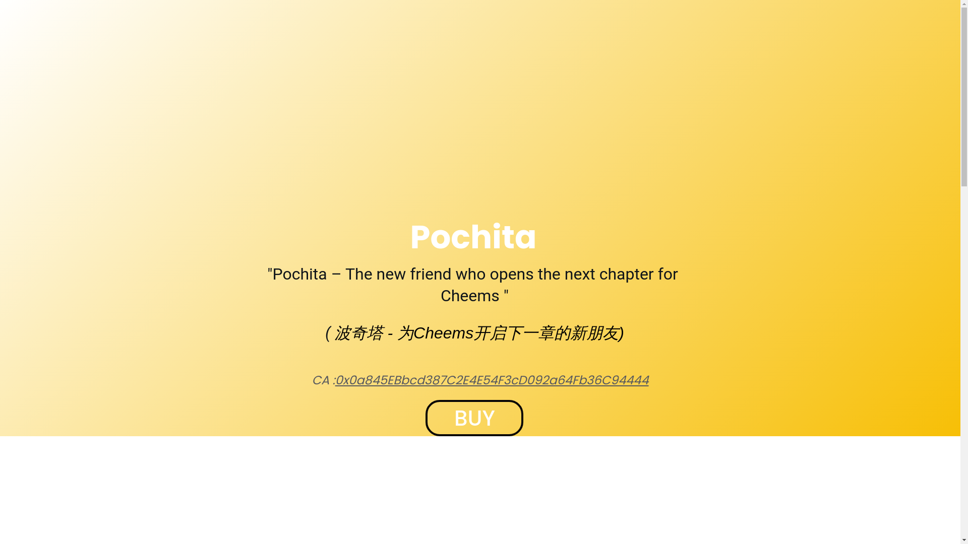 website screenshot of https://pochitabsc.io/