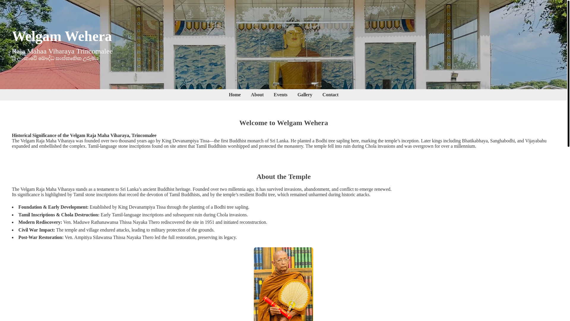 website screenshot of https://welgamvehera.lk/