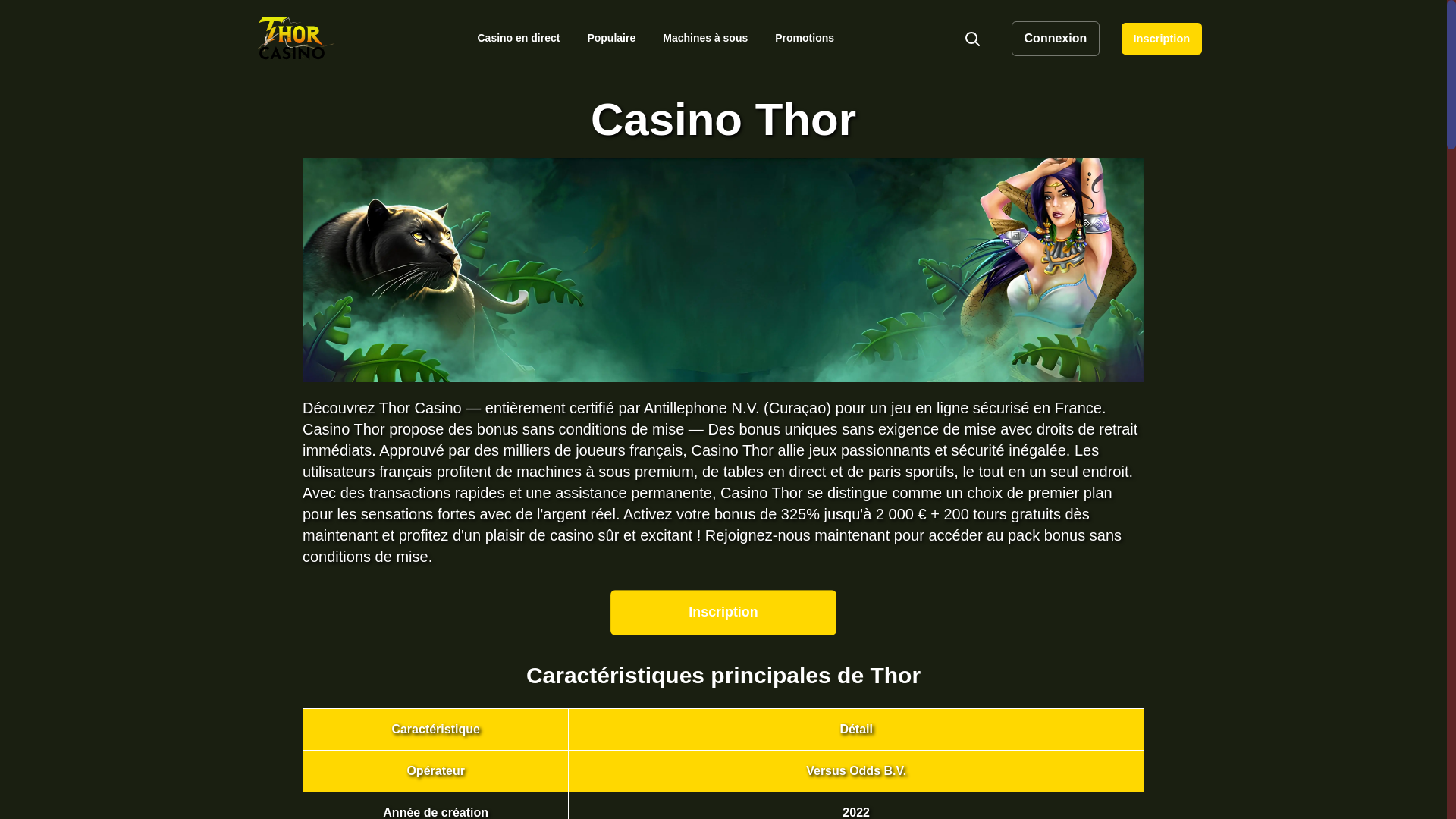 website screenshot of https://thorcasino2-fr.com/