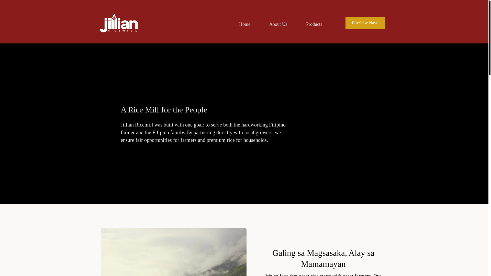 website screenshot of https://jillianricestore.com/