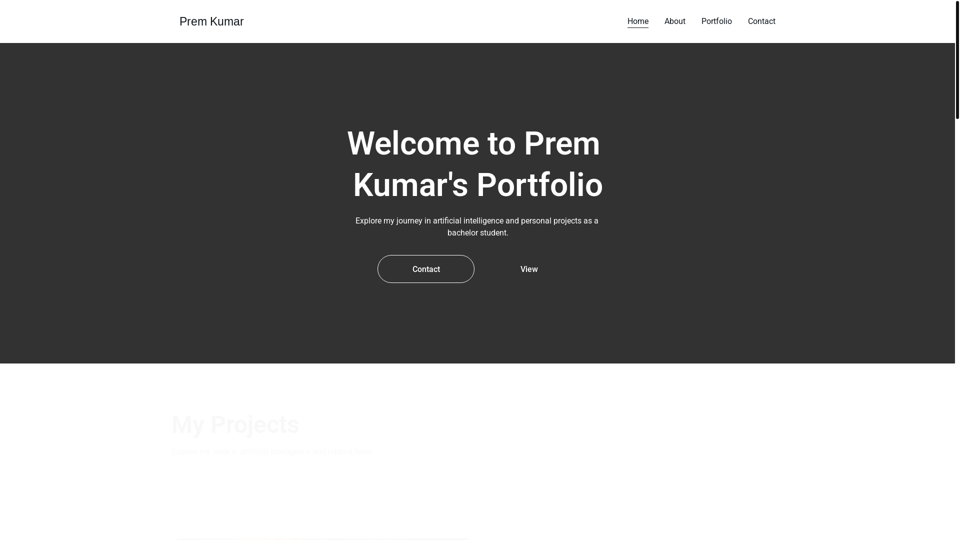 website screenshot of https://premkumar.eu/