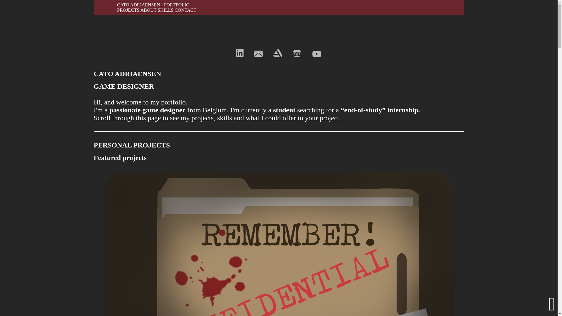 website screenshot of https://catoadriaensen.com/