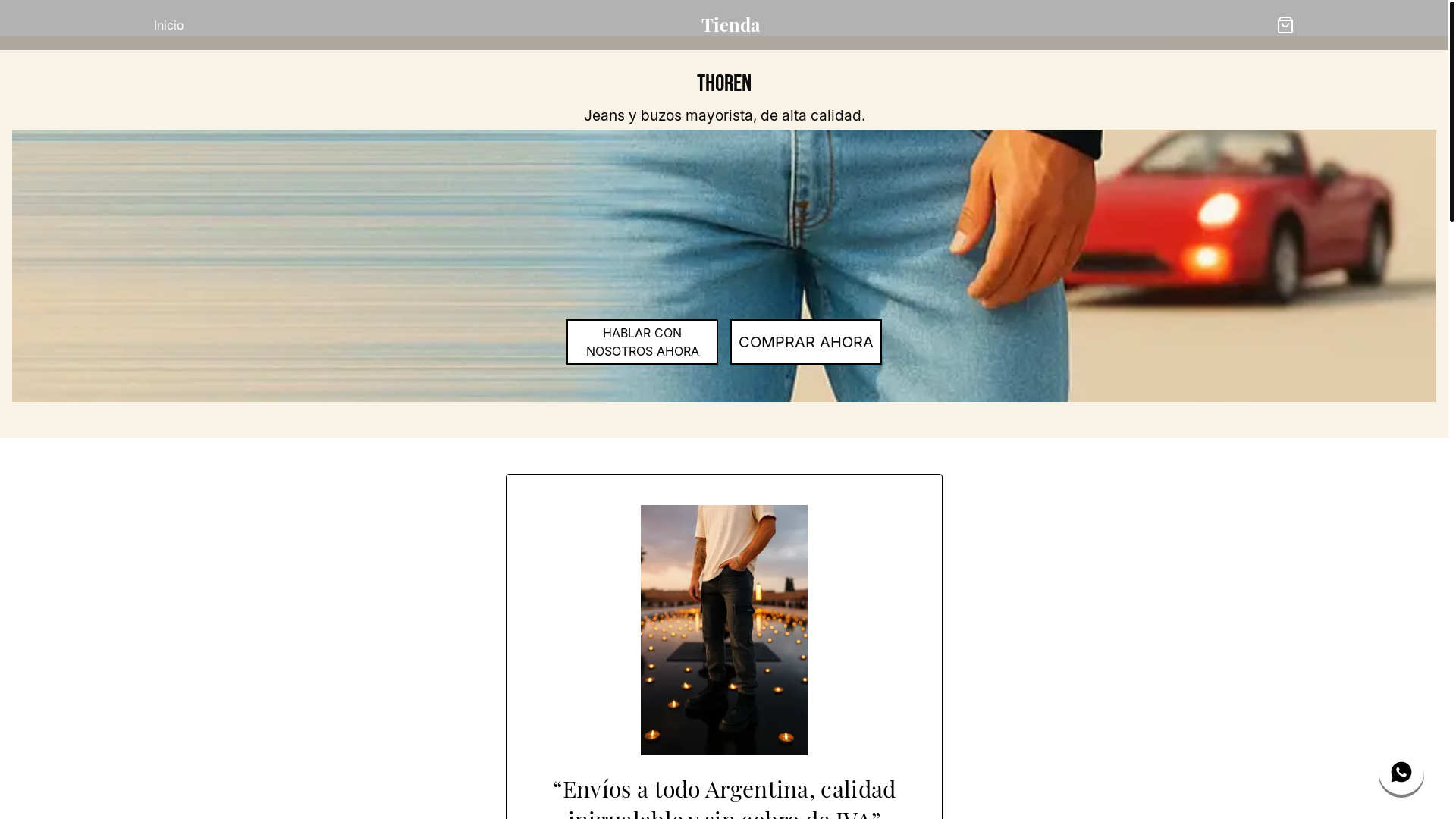website screenshot of https://thoren-jeans.store/