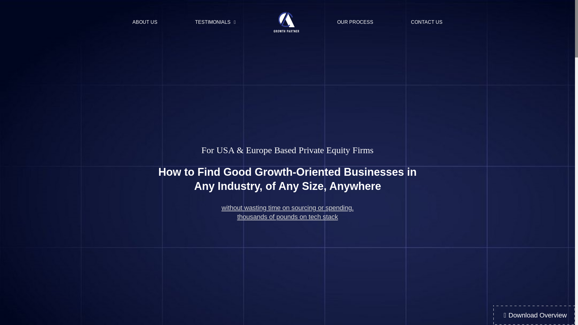 website screenshot of https://acegrowthpartner.com/