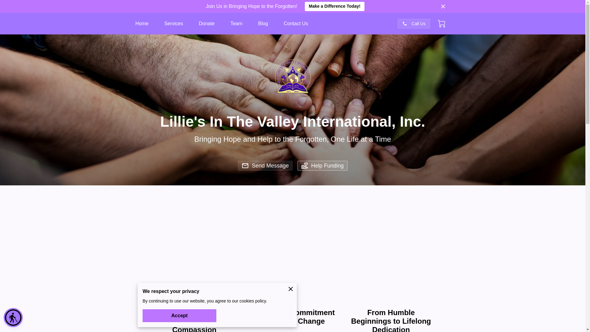 website screenshot of https://lilliesinthevalley.org/