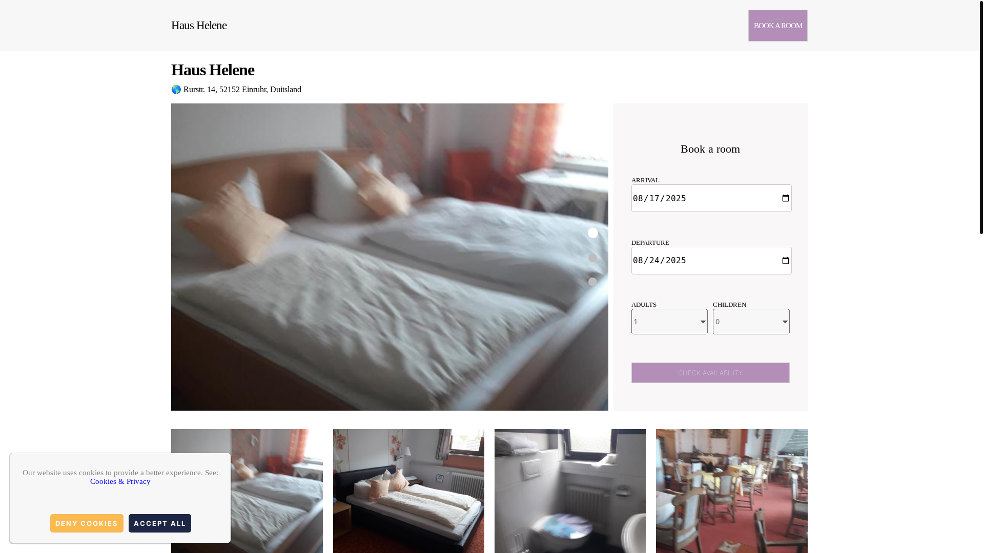 website screenshot of https://haus-helene.com.es/