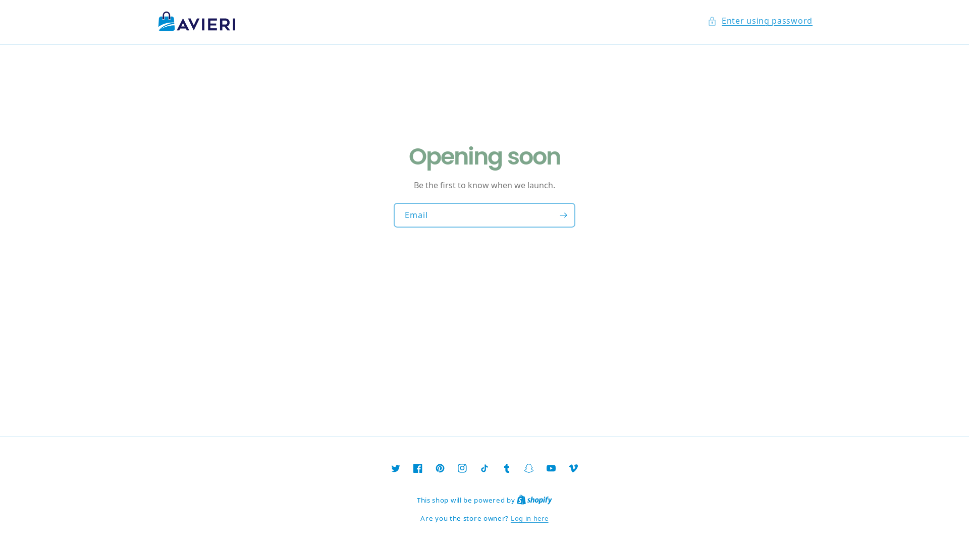 website screenshot of https://avierico.com/