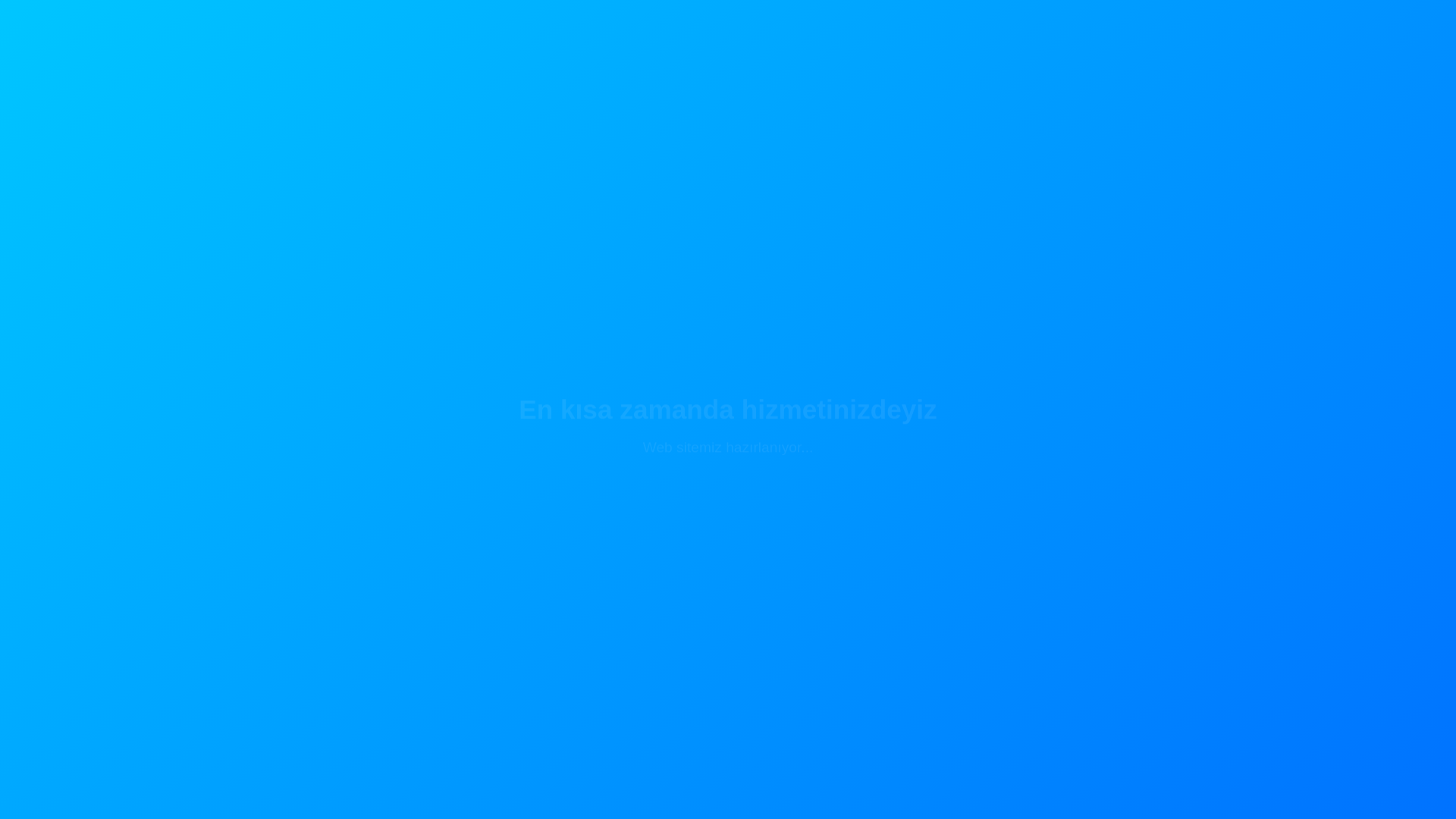 website screenshot of https://ustemizlik.com.tr/