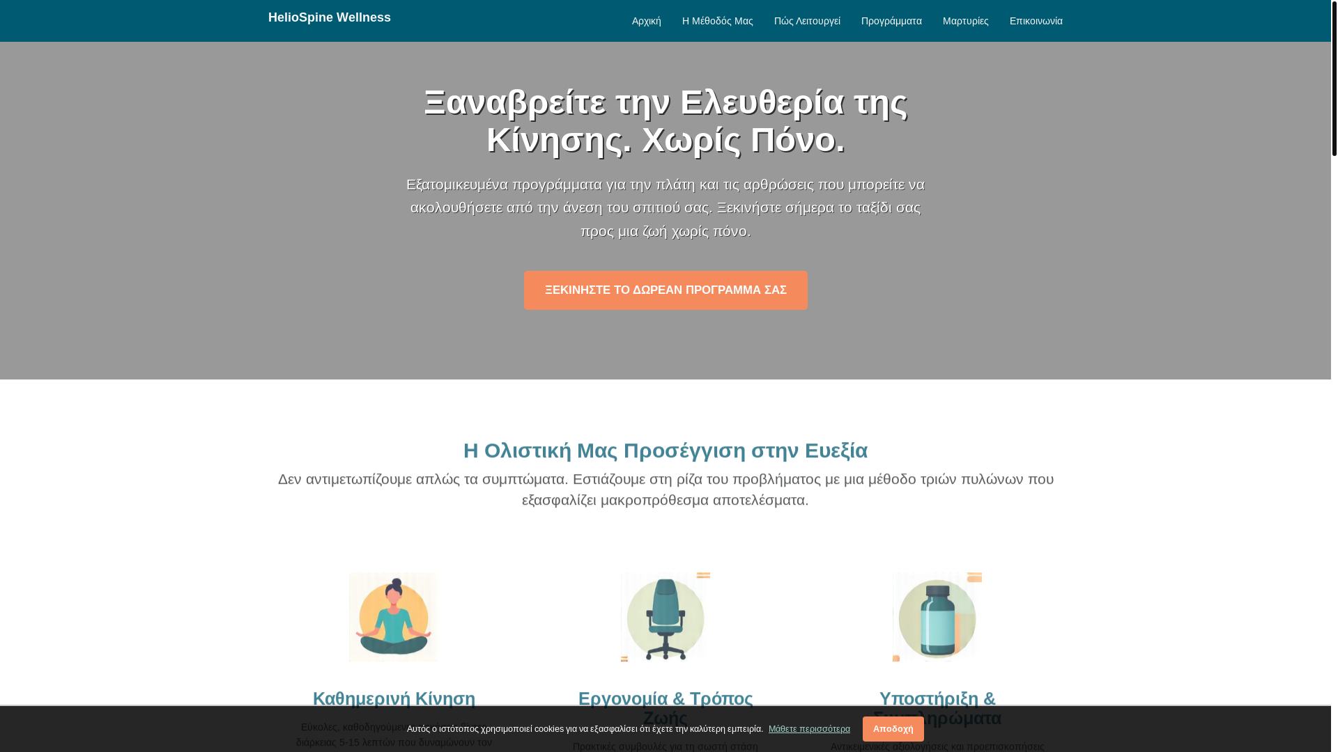 website screenshot of https://healthyzones.info/