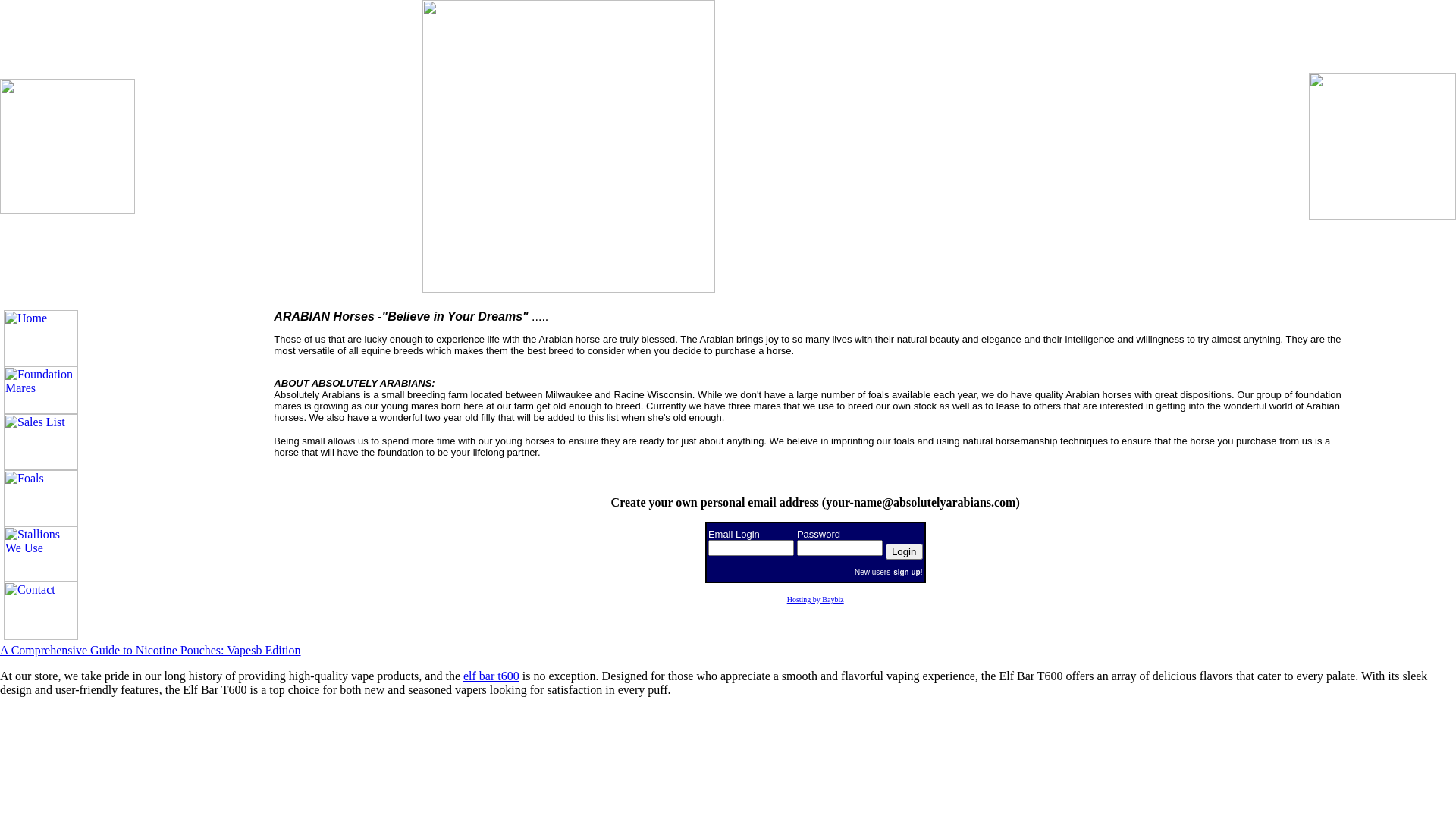 website screenshot of https://absolutelyarabians.pages.dev/