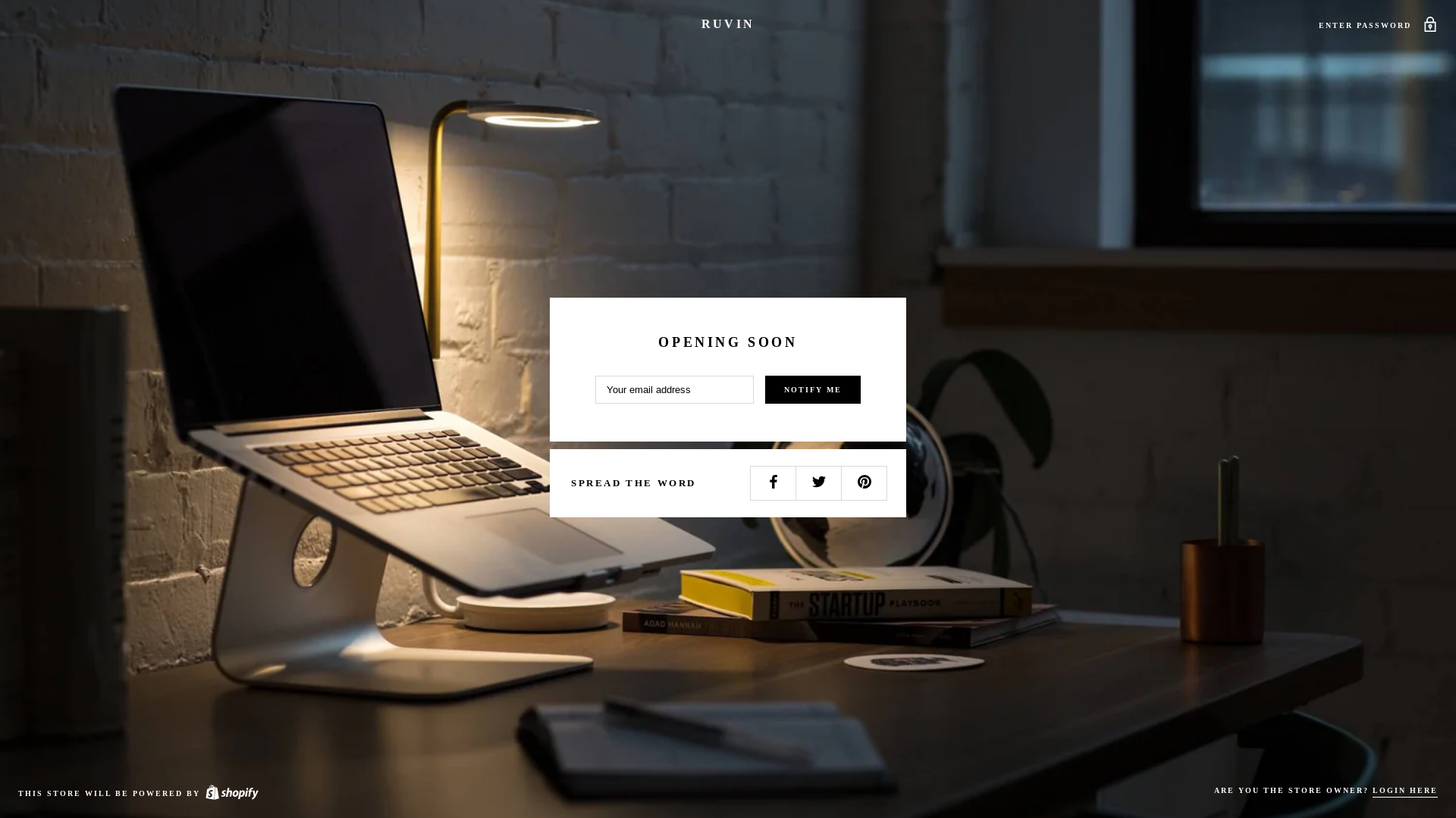website screenshot of https://ruvin.store/