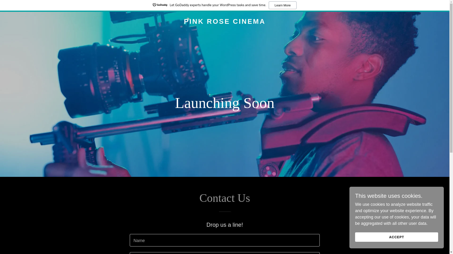 website screenshot of https://pinkrosecinema.com/