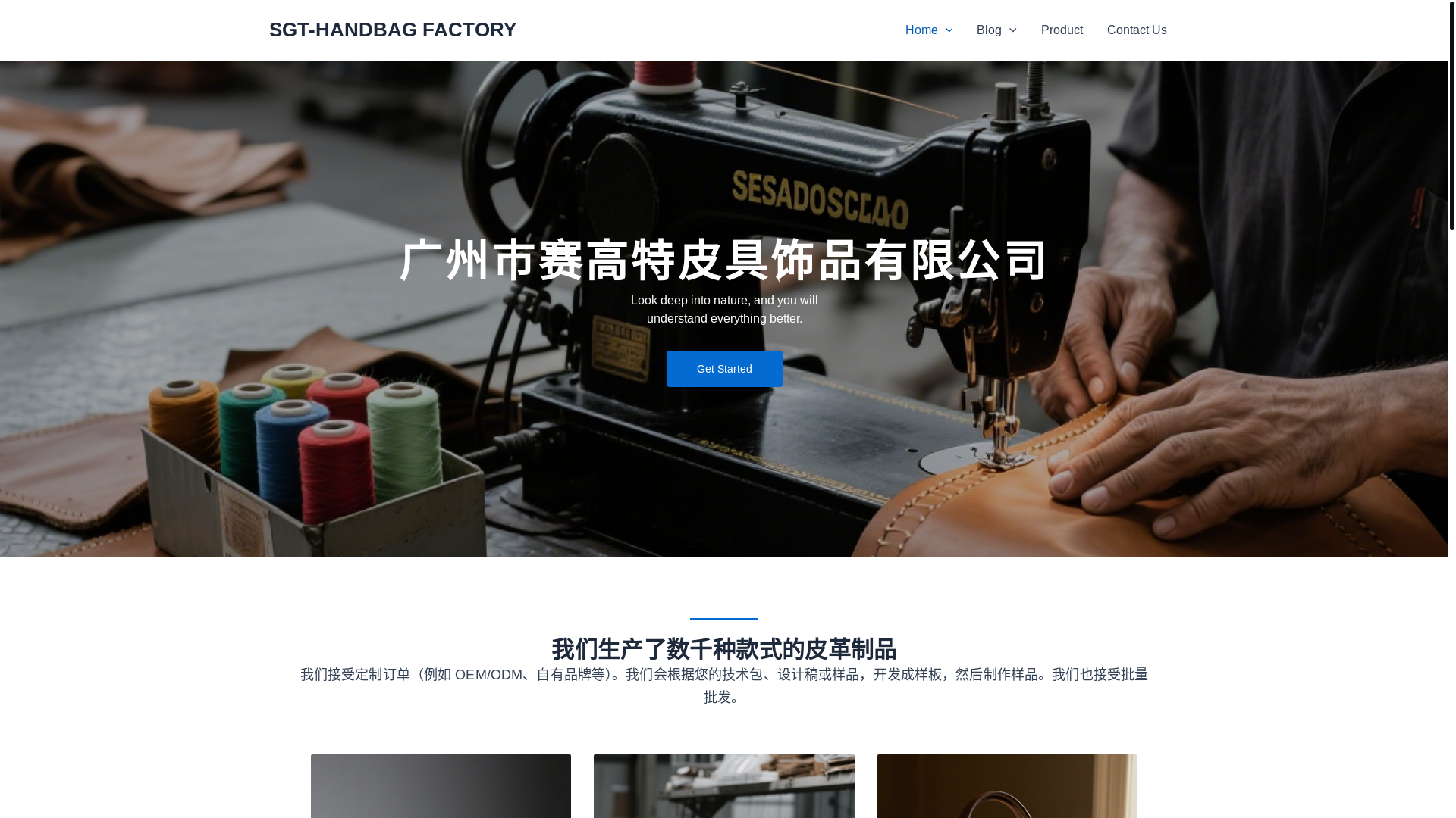 website screenshot of https://sgthandbagfactory.com/