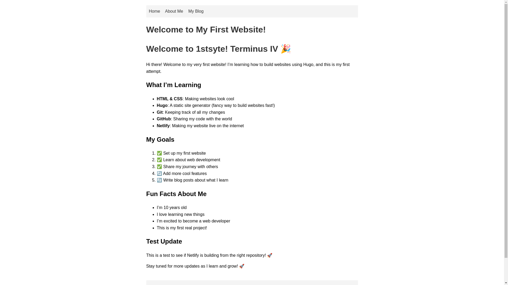 website screenshot of https://1stsyte.com/