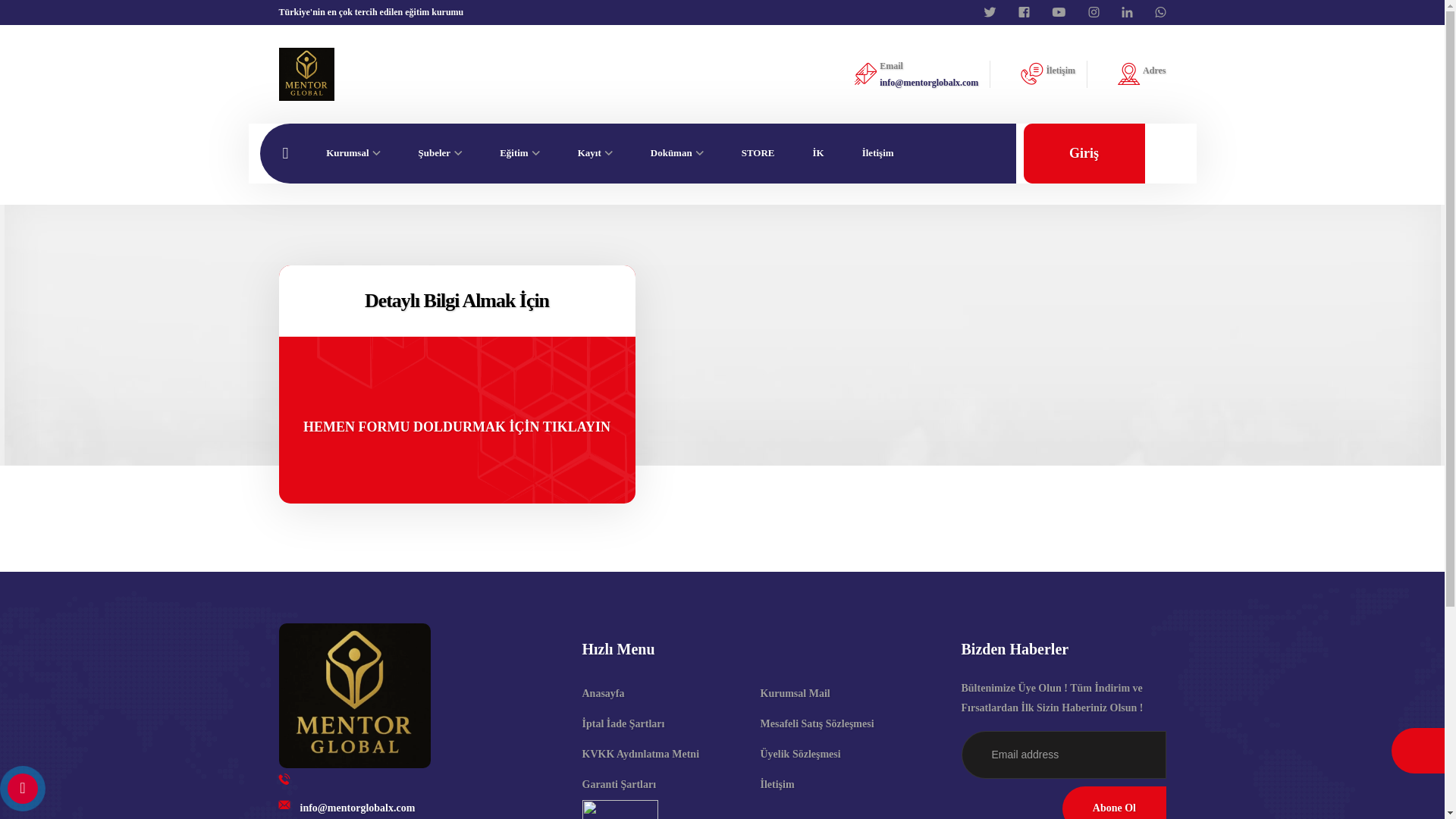 website screenshot of https://mentorglobalx.com/