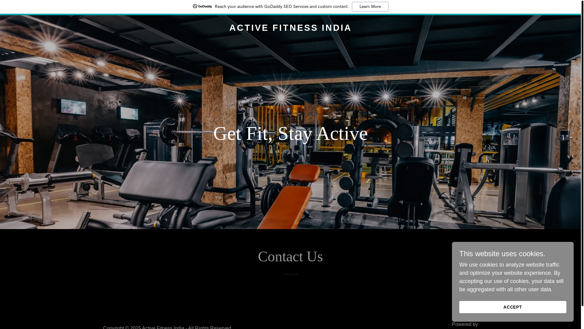 website screenshot of https://activefitnessindia.com/