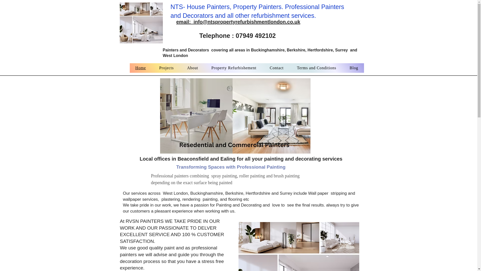 website screenshot of https://ntpropertyservices.com/