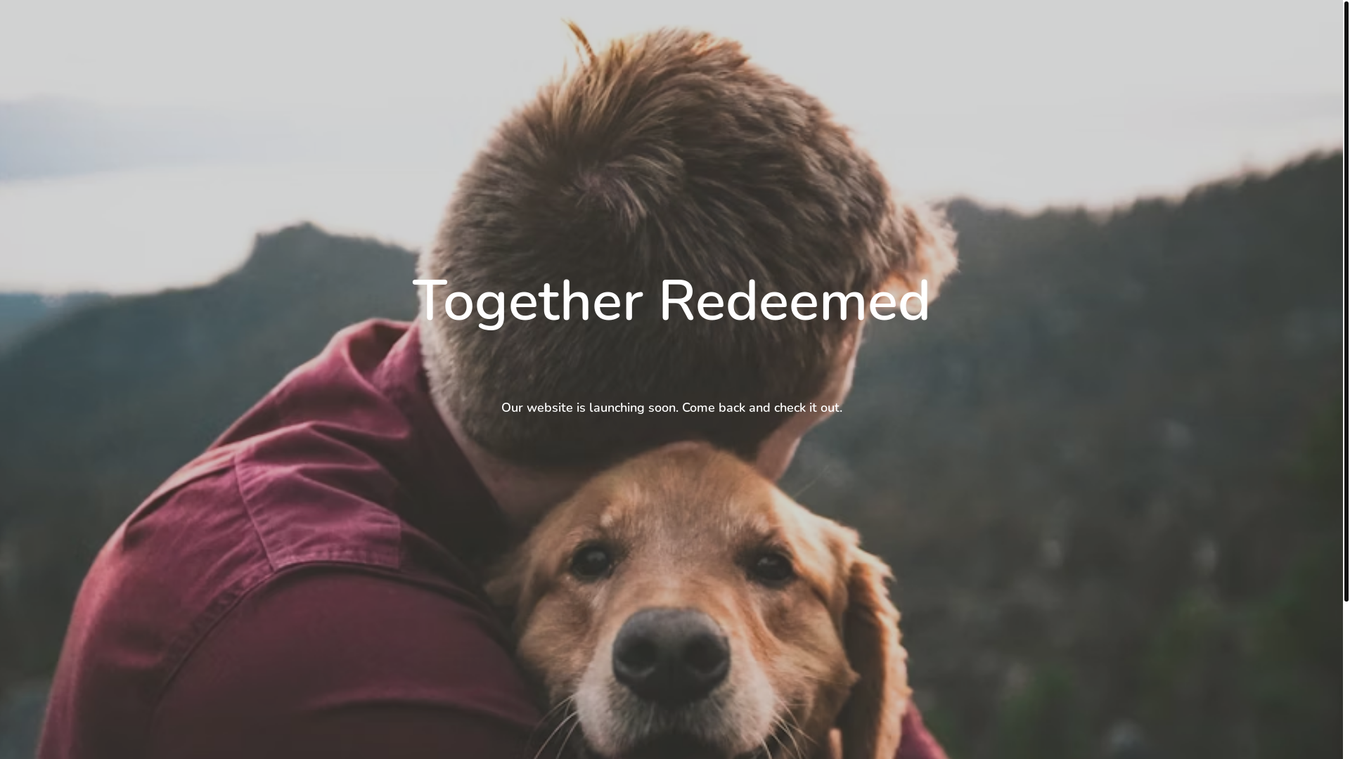 website screenshot of https://togetherredeemed.org/