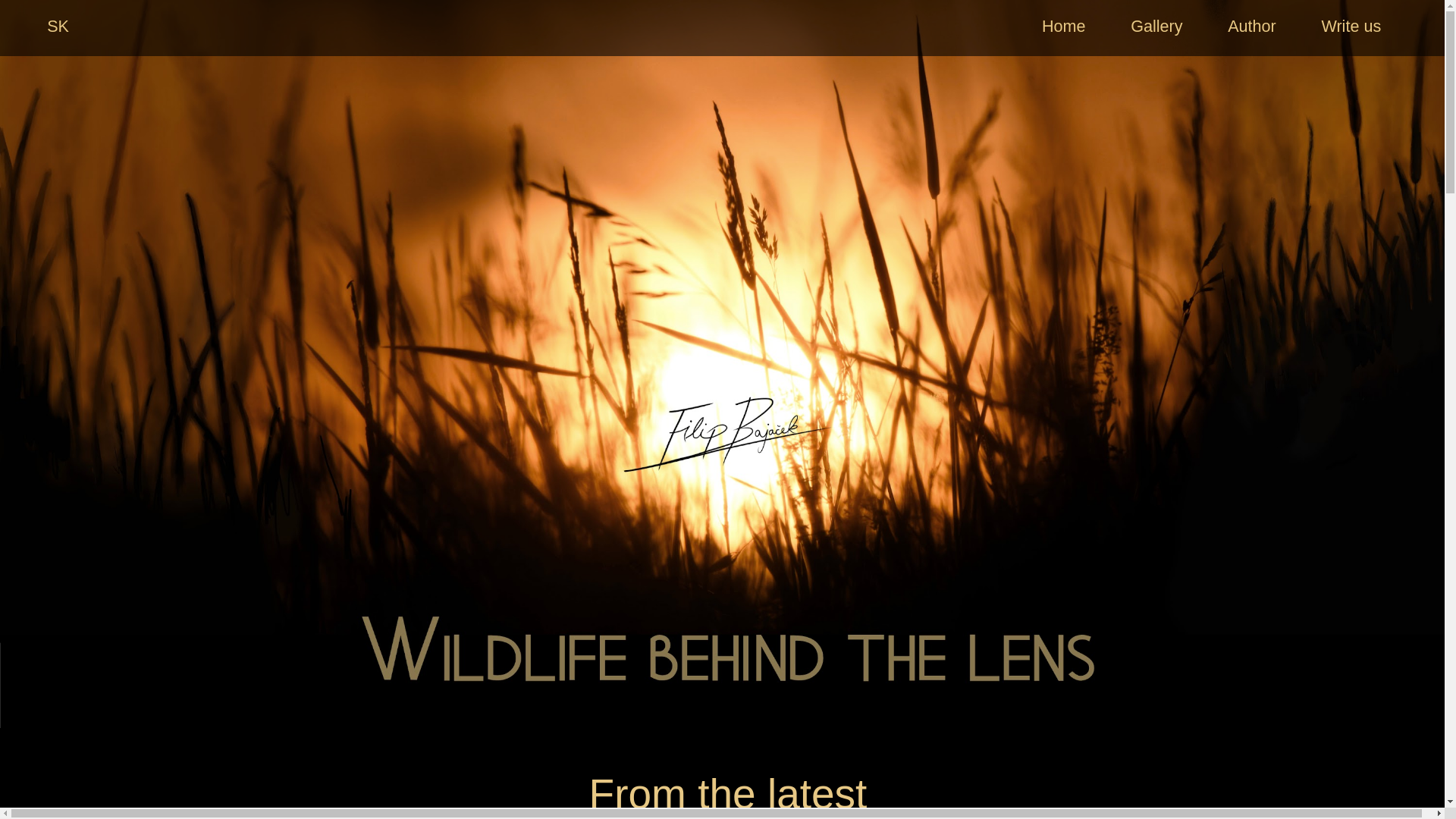 website screenshot of https://filipbajacek.com/