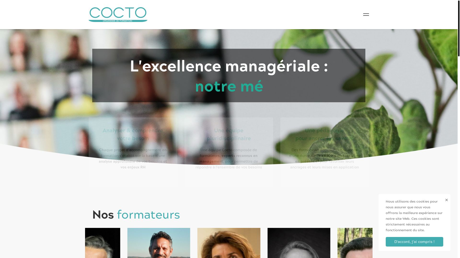 website screenshot of https://goforcocto.com/