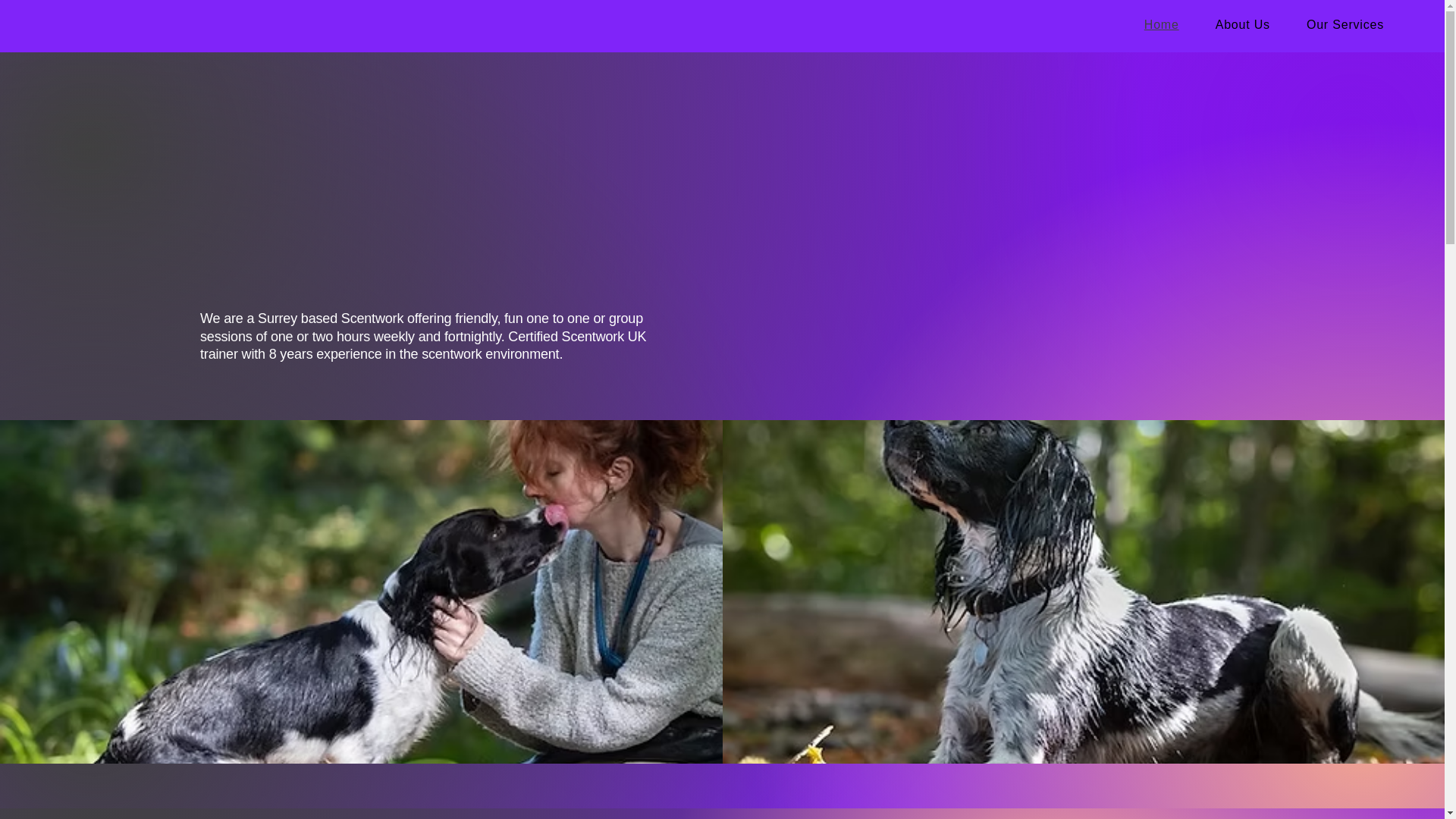 website screenshot of https://savvyscentwork.co.uk/