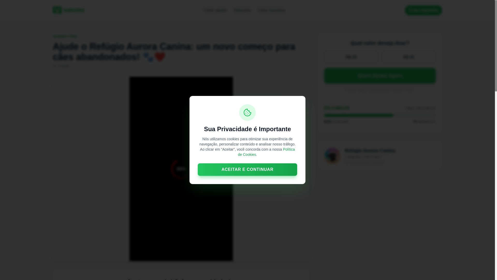 website screenshot of https://pjpatinhadosivalores.pages.dev/