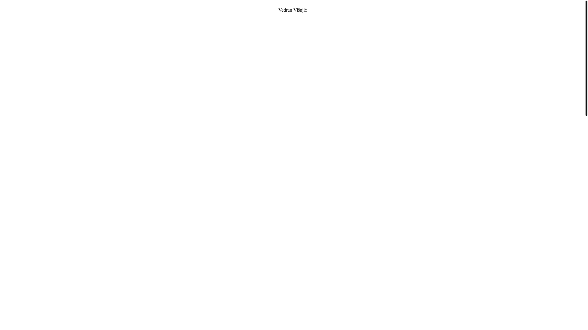 website screenshot of https://vedranvisnjic.bio/