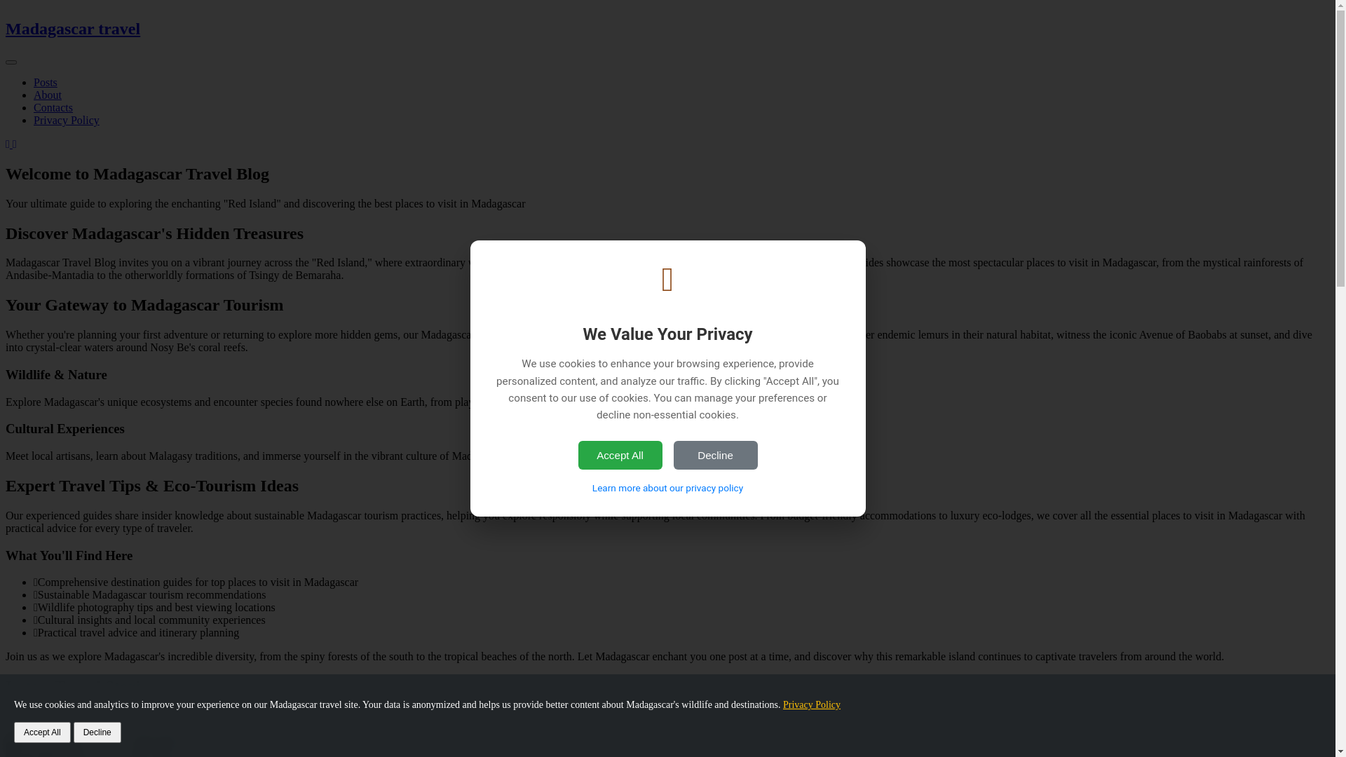 website screenshot of https://madagascarntravels.com/