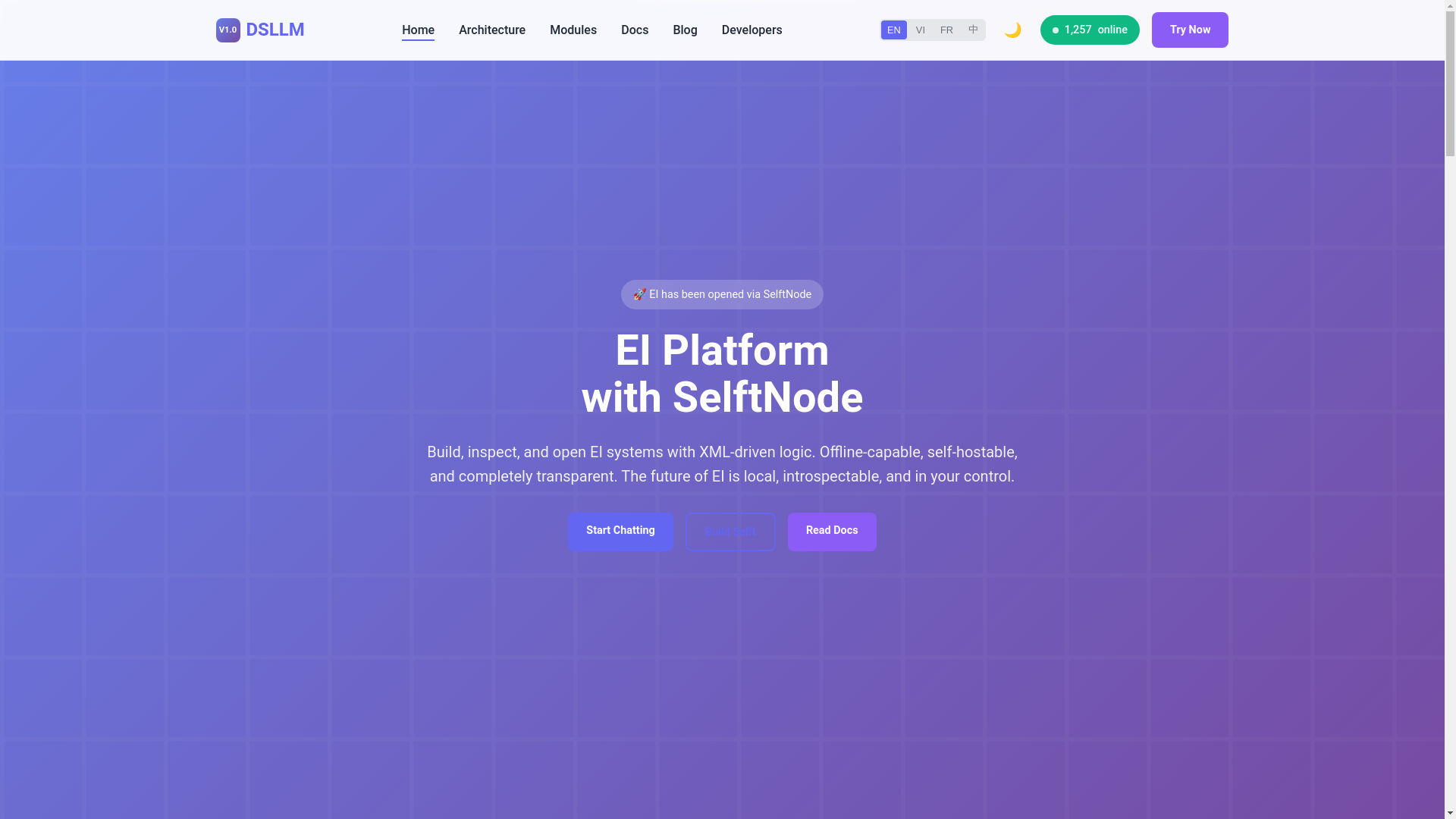 website screenshot of https://dsllm-landing-net.pages.dev/