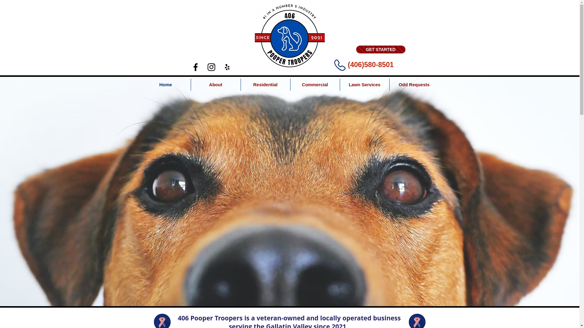 website screenshot of https://poopsandstripes.com/