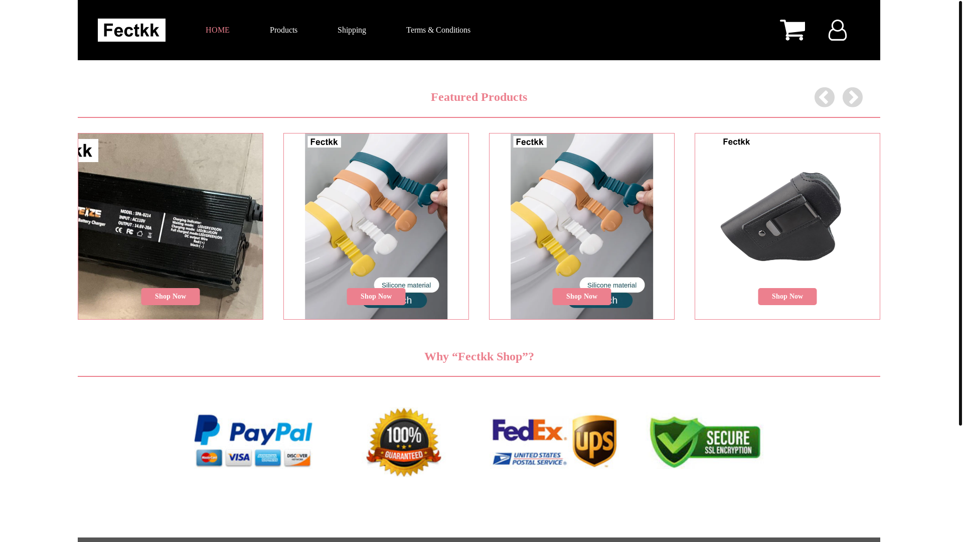 website screenshot of https://fectkk.xyz/