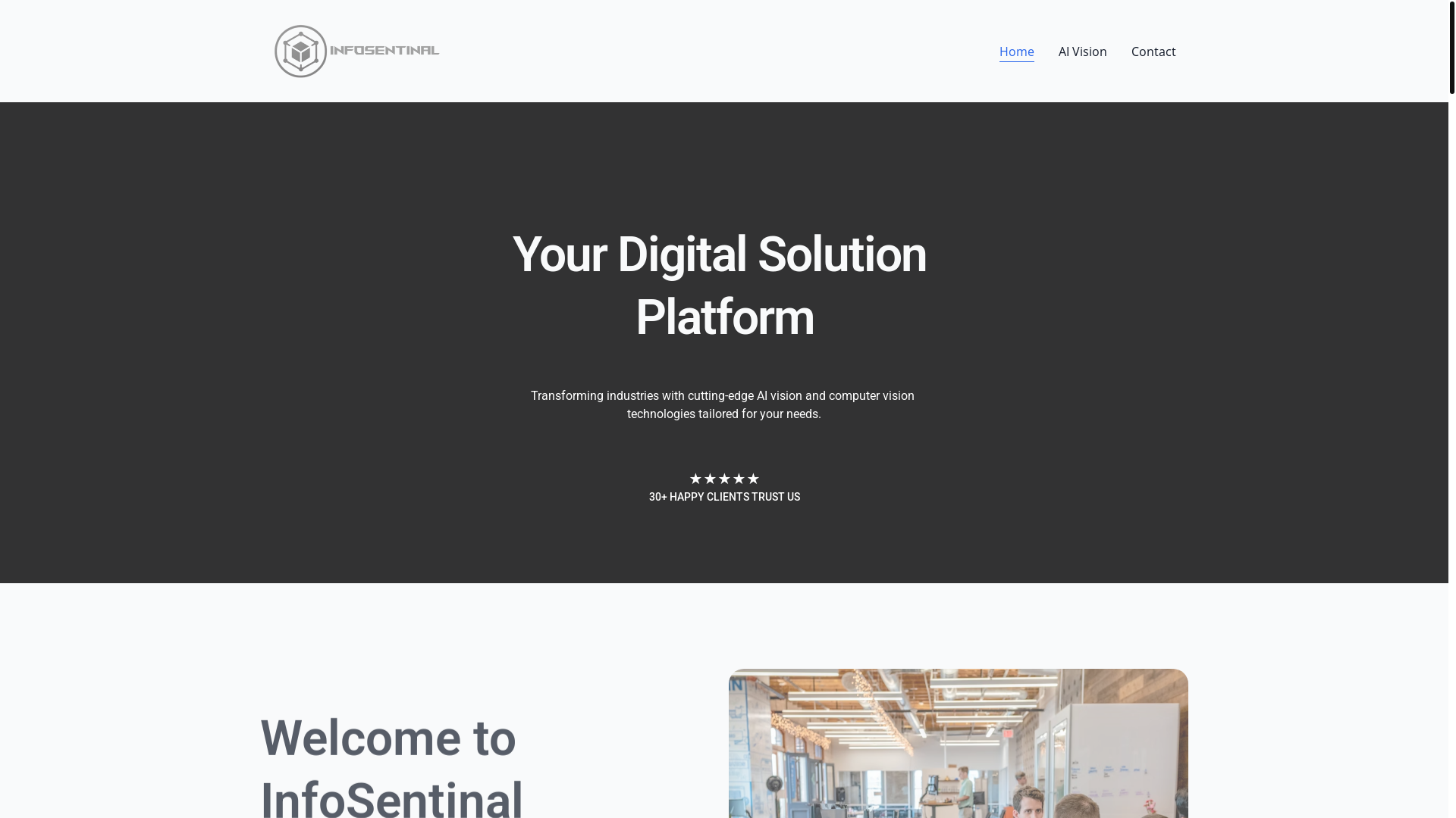 website screenshot of https://infosentinal-sa.com/