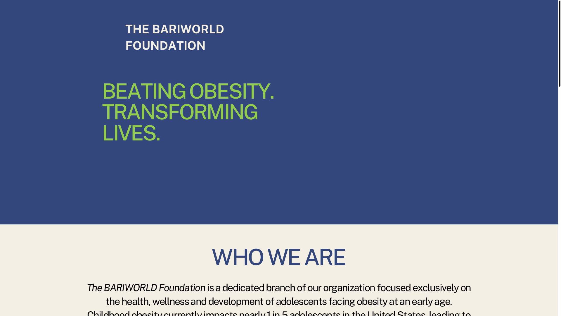 website screenshot of https://thebariworldfoundation.com/
