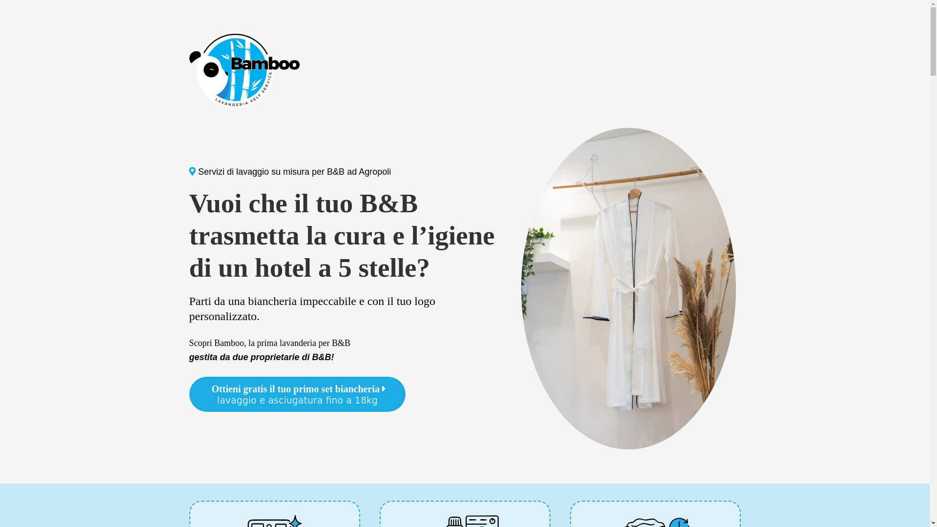 website screenshot of https://bamboolavanderiaagropoli.com/
