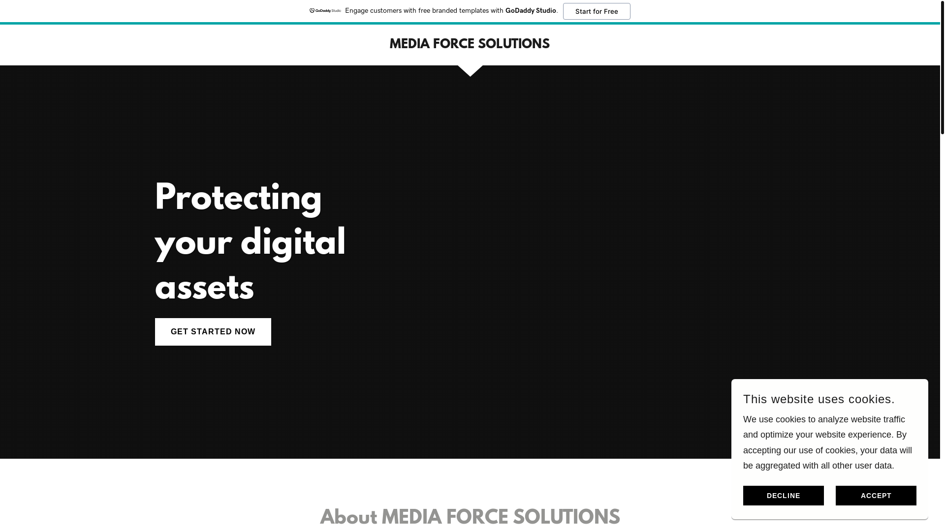 website screenshot of https://mediaforce.solutions/