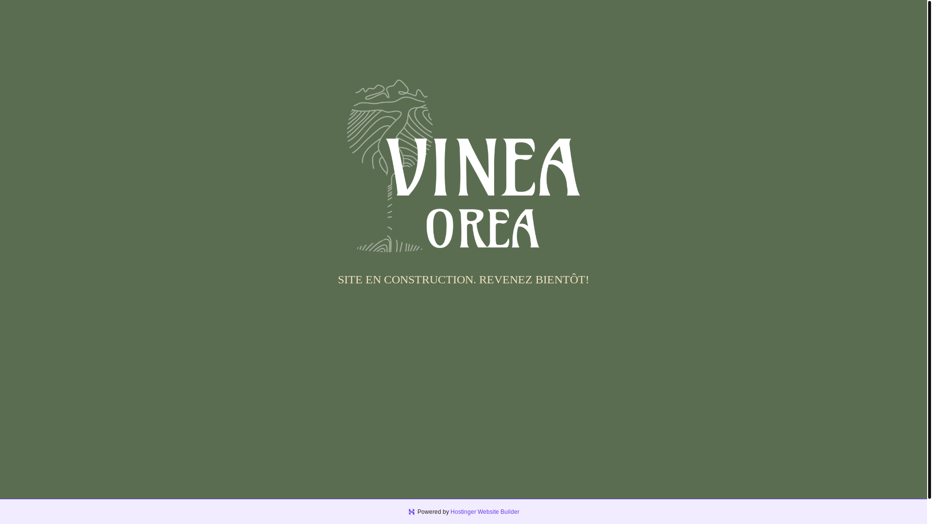 website screenshot of https://vinea-orea.com/