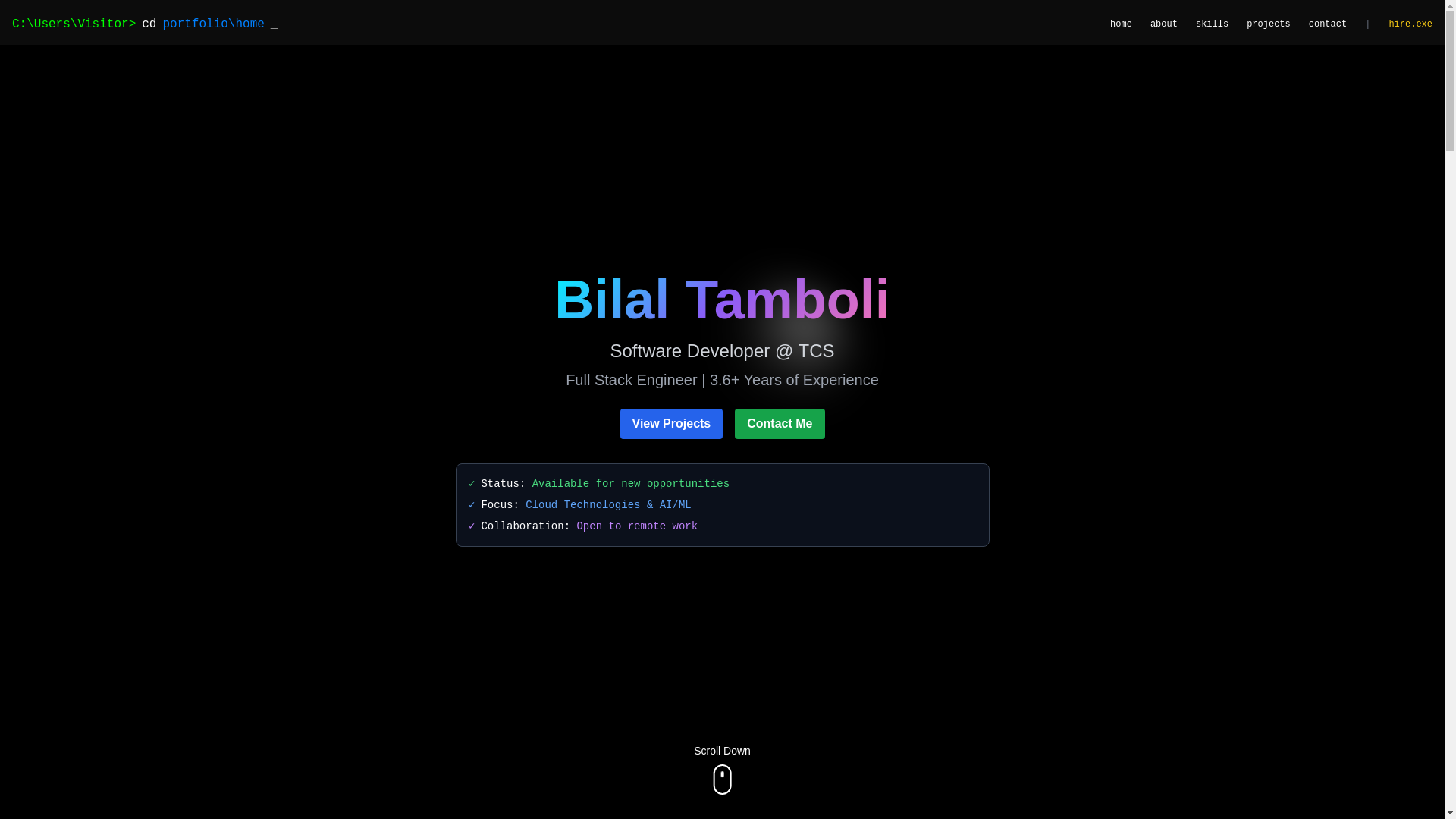 website screenshot of https://portfolio-test-9nx.pages.dev/