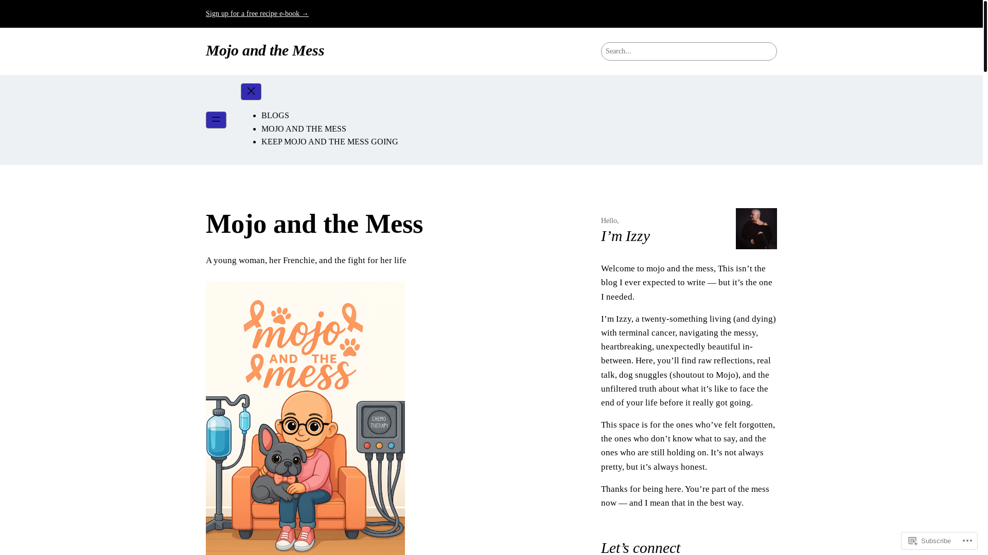 website screenshot of https://mojoandthemess.com/