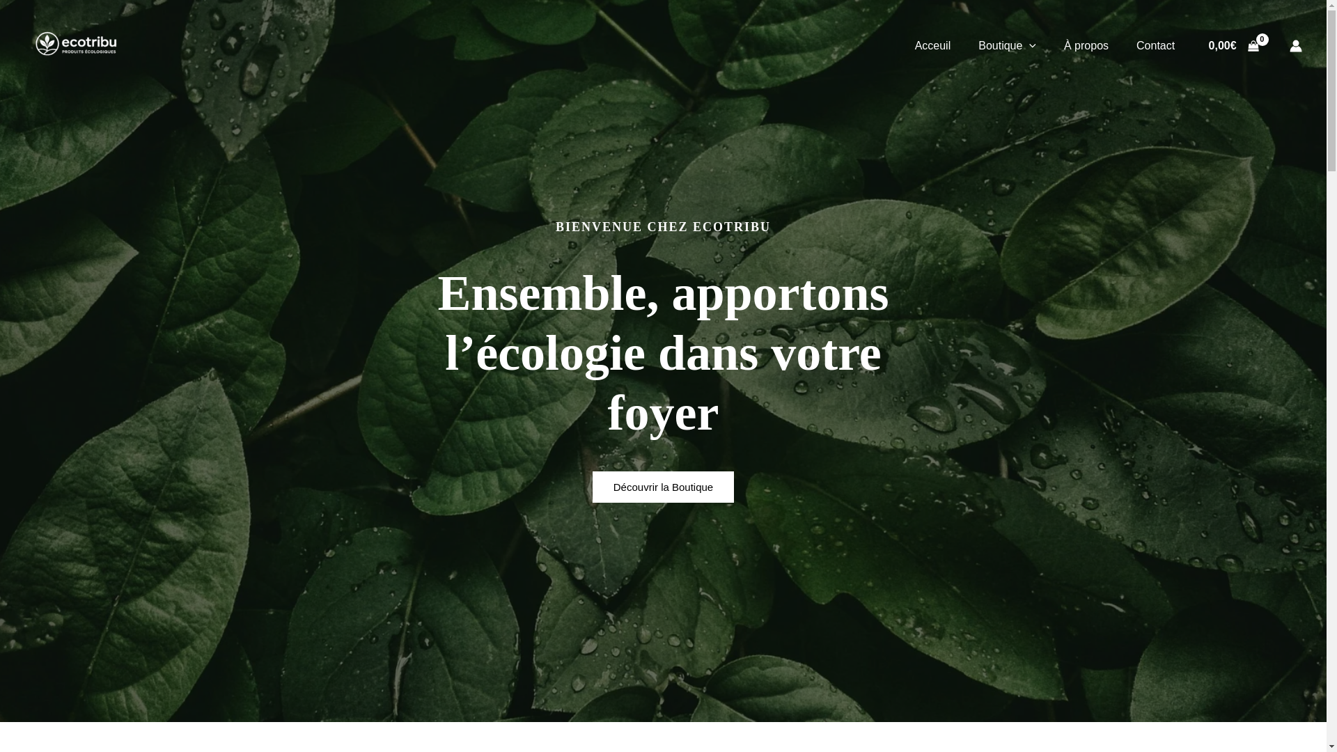 website screenshot of https://ecotribu.fr/