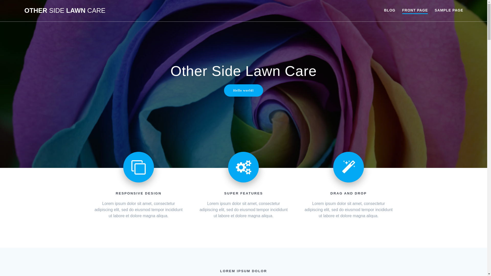 website screenshot of https://othersidelawncare.me/
